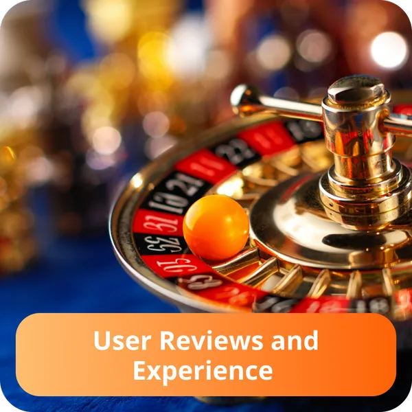 User Reviews and Experience